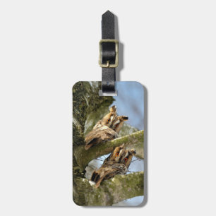 Étiquette À Bagage Deux hiboux dans les bois, oiseaux, faune