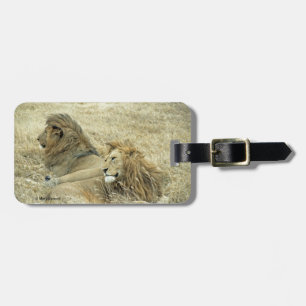 Étiquette À Bagage Deux lions mâles