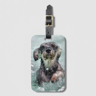Étiquette À Bagage Doggy Paddle mignon chien nager