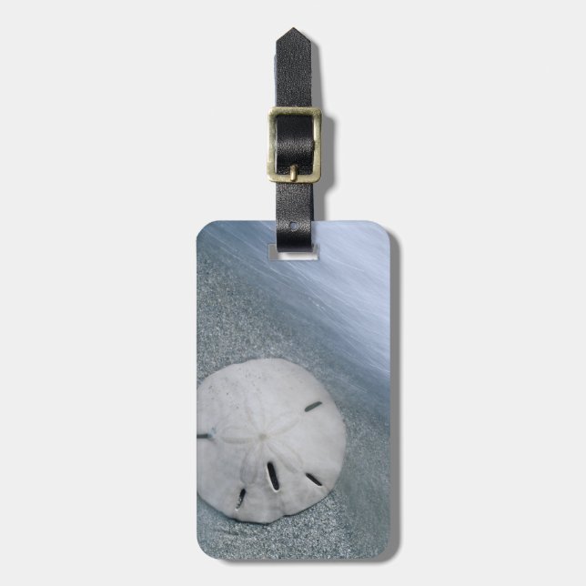 Étiquette À Bagage Dollar de sable sur la plage | Île Sanibel, Florid (Devant Vertical)
