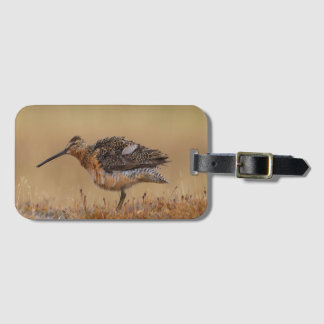 Étiquette À Bagage Dowitcher à long bec