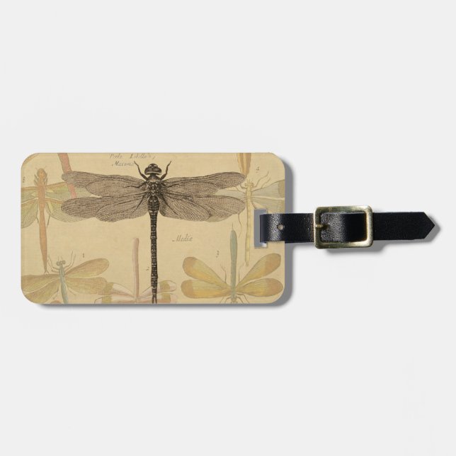 Étiquette À Bagage Dragonfly Vintage Antique Classic Nature (Devant horizontal)