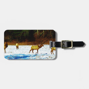 ÉTIQUETTE À BAGAGE DSC00131.JPG