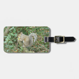 Étiquette À Bagage Écureuil avec bagage personnalisé Acorn Balise