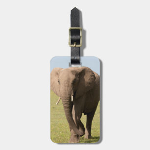 Étiquette À Bagage Éléphant d'Afrique (Loxodonta Africana), Maasai