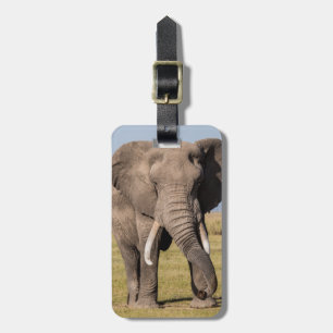 Étiquette À Bagage Éléphant dans une pose agressive