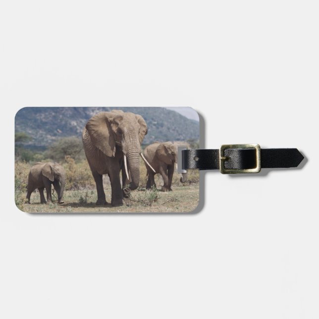 Étiquette À Bagage Éléphant mère marchant avec un éléphant jeune (Devant horizontal)