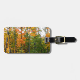 Étiquette À Bagage Érables en automne Photographie de la nature
