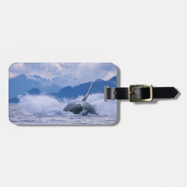 Étiquette À Bagage États-Unis, Alaska, Tongass National Forest, Humpb (Devant horizontal)