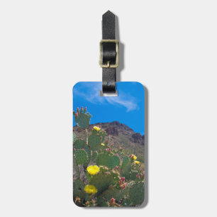 Étiquette À Bagage États-Unis, Arizona. Cactus dans les collines