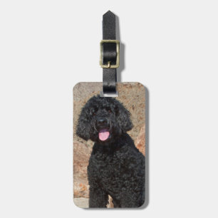 Étiquette À Bagage États-Unis, Californie. Garde de Labradoodle