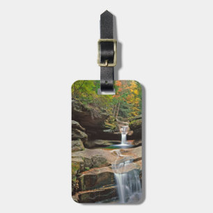 Étiquette À Bagage États-Unis, Nouvelle-Angleterre, New Hampshire, Wh