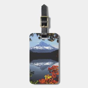 Étiquette À Bagage États-Unis, Oregon, Mt. Hood National Forest.