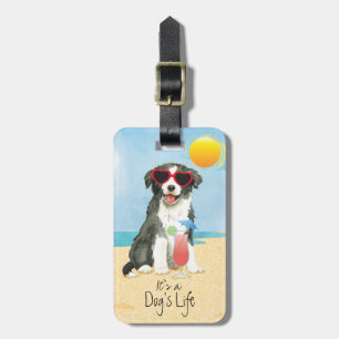 Étiquette À Bagage Été Bordure Collie Bagage Balise