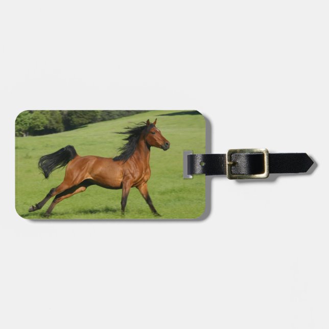 Étiquette À Bagage Étiquette Courir un cheval arabe (Devant horizontal)