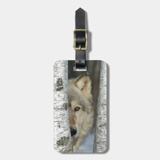 Étiquette À Bagage étiquette de bagage avec la photo du loup gris (Devant Vertical)