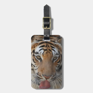 Étiquette À Bagage Étiquette de bagage Baisers de Tigre