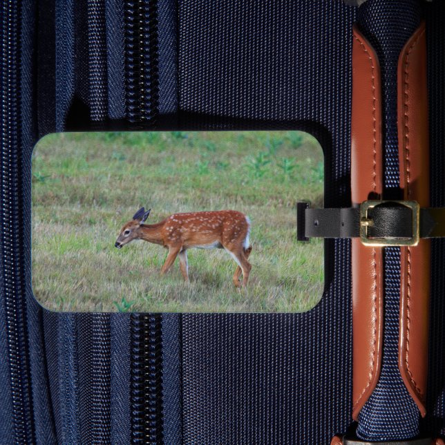 Étiquette À Bagage Étiquette de bagage cerf (Insitu Rectoal 4)