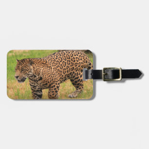 Étiquette À Bagage Étiquette de bagage - customisée
