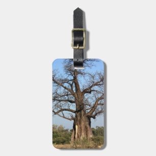 Étiquette À Bagage Étiquette de bagage d'arbre de baobab