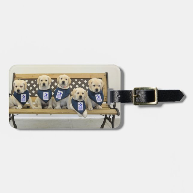 Étiquette À Bagage Étiquette de bagage de banc de temps - (Devant horizontal)