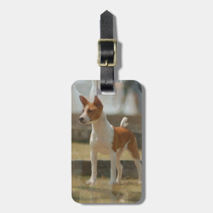 Étiquette À Bagage Étiquette de bagage de Basenji
