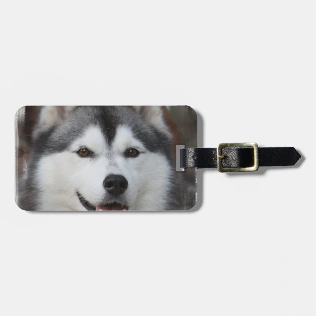 Étiquette À Bagage Étiquette de bagage de chien husky (Devant horizontal)