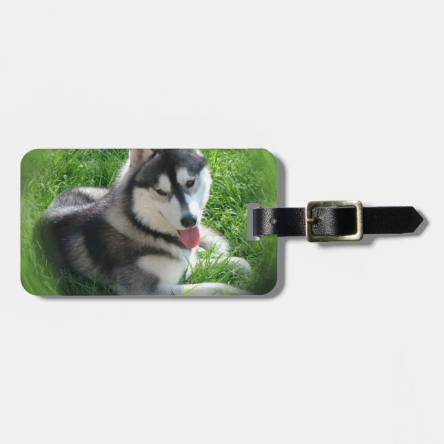 Étiquette À Bagage Étiquette de bagage de chien Husky sibérien (Devant horizontal)