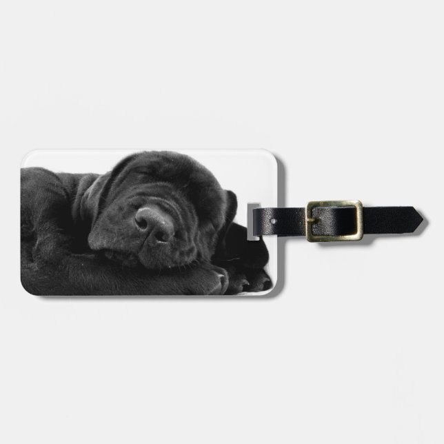 Étiquette À Bagage Étiquette de bagage de chiot labrador endormi (Devant horizontal)
