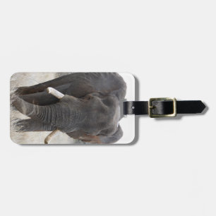 Étiquette À Bagage Étiquette de bagage d'éléphant