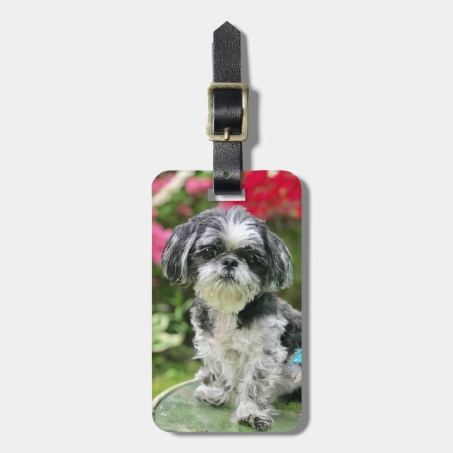 Étiquette À Bagage Étiquette de bagage Fille Shih Tzu (Devant Vertical)