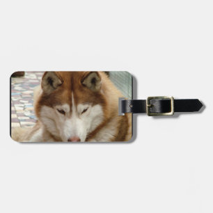 Étiquette À Bagage Étiquette de bagage Husky Brun