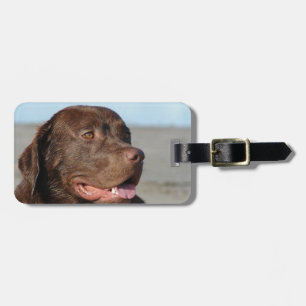 Étiquette À Bagage Étiquette de bagage Labrador Retriever