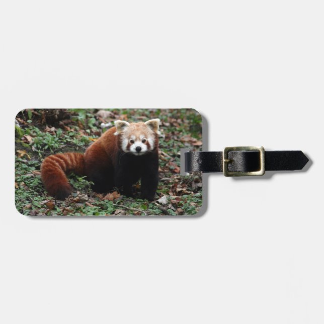 Étiquette À Bagage Étiquette de bagage - panda rouge 3 (Devant horizontal)