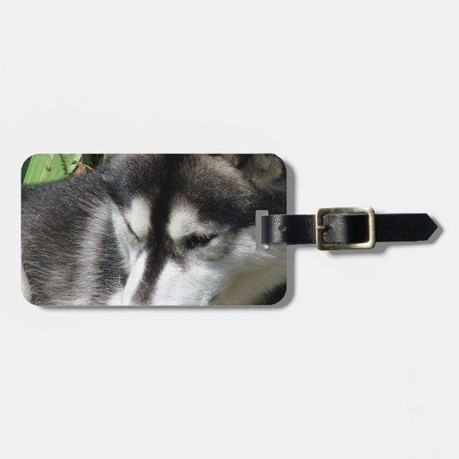 Étiquette À Bagage Étiquette de bagage Profil Husky (Devant horizontal)