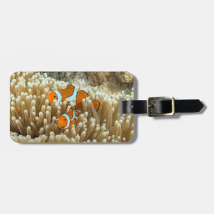 Étiquette À Bagage Étiquette mignonne de bagage de poissons de clown