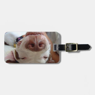 Étiquette À Bagage Étiquette personnalisable de bagage de chien