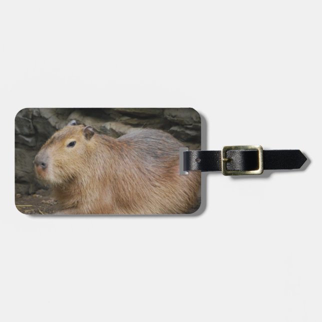Étiquette À Bagage Étiquette sauvage de bagage de Capybara (Devant horizontal)