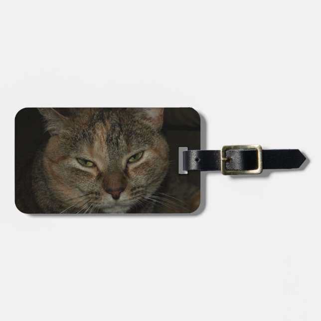 Étiquette À Bagage Étiquette somnolente de bagage de chat (Devant horizontal)