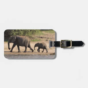 Étiquette À Bagage Famille d'éléphant