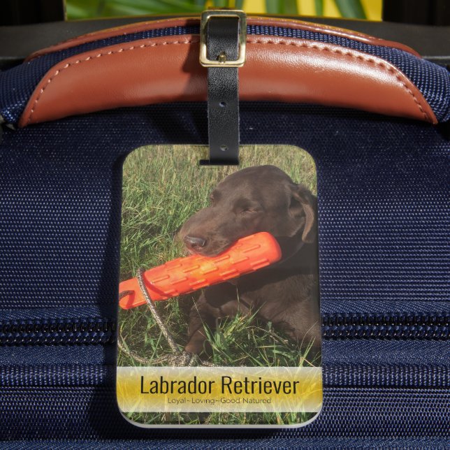 Étiquette À Bagage Famille d'images remplaçables ou photo d'animal de (Insitu Rectoal 2)