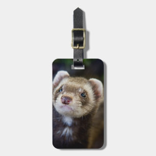 Étiquette À Bagage Ferret