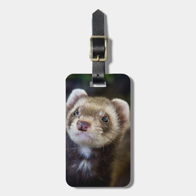 Étiquette À Bagage Ferret (Devant Vertical)