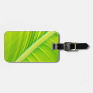 Étiquette À Bagage feuille de bananier vert