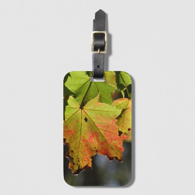 Étiquette À Bagage Feuilles de chute colorées (Devant Vertical)
