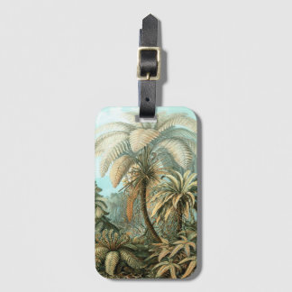 Étiquette À Bagage Filicinae par Ernst Haeckel, Plantes Vintages de l