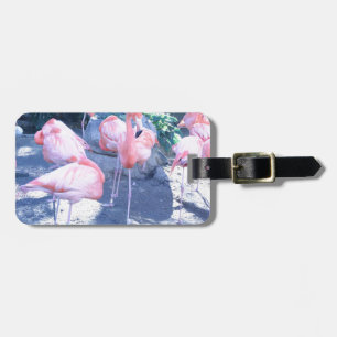 Étiquette À Bagage Flamant rose debout