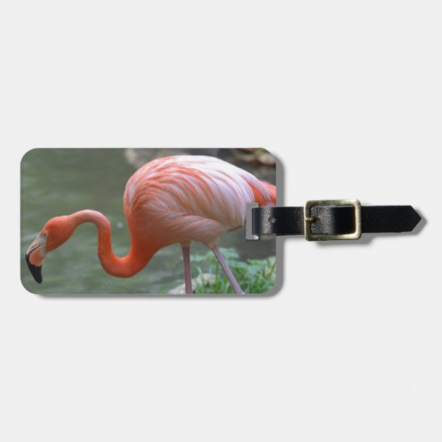 Étiquette À Bagage Flamant rose savoureux (Devant horizontal)