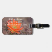 Fleur de cactus orange