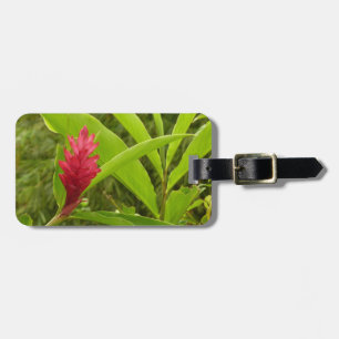 Étiquette À Bagage Fleur de gingembre rouge (Alpinia) tropicale